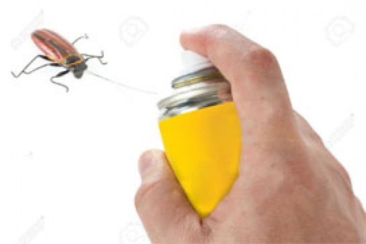 pesticide spraying on the cockroach 
